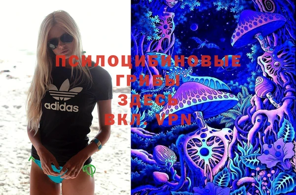 винт Армянск