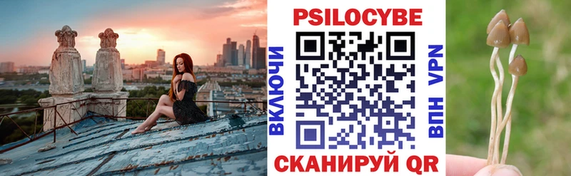 Купить закладки  Нея  Псилоцибиновые грибы Psilocybine cubensis 